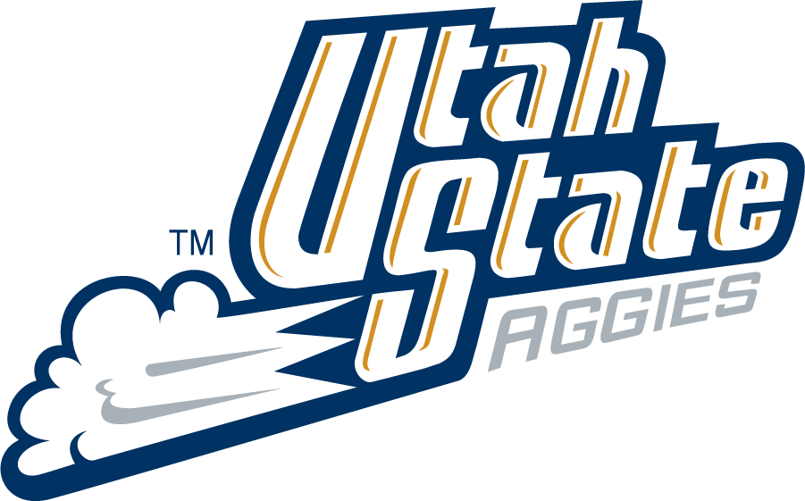 Utah State Aggies 1995-2001 Wordmark Logo t shirts iron on transfers